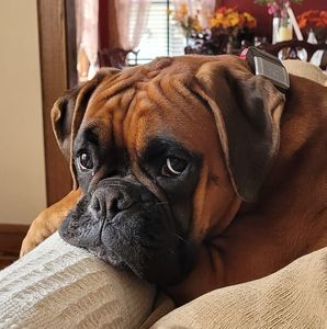 Meet your Posher, Kimmie n